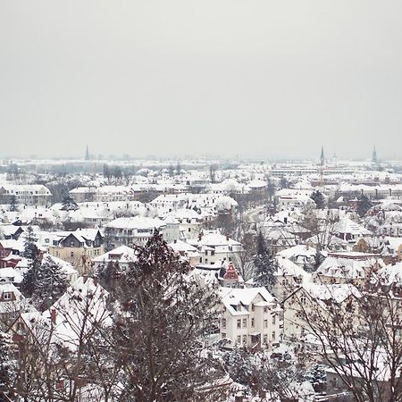 Bergwirtschaft Wilder Mann Hotel Und Restaurant Dresden Luaran gambar